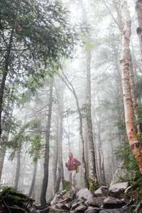 打雪人绿色版下载苹果版