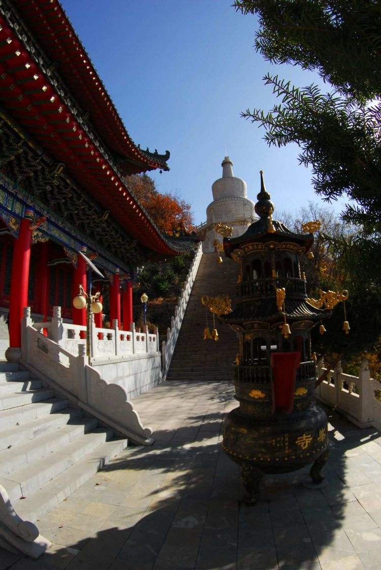 寺幕苹果版字幕杀手iOS下载-第2张图片-太平洋在线下载
