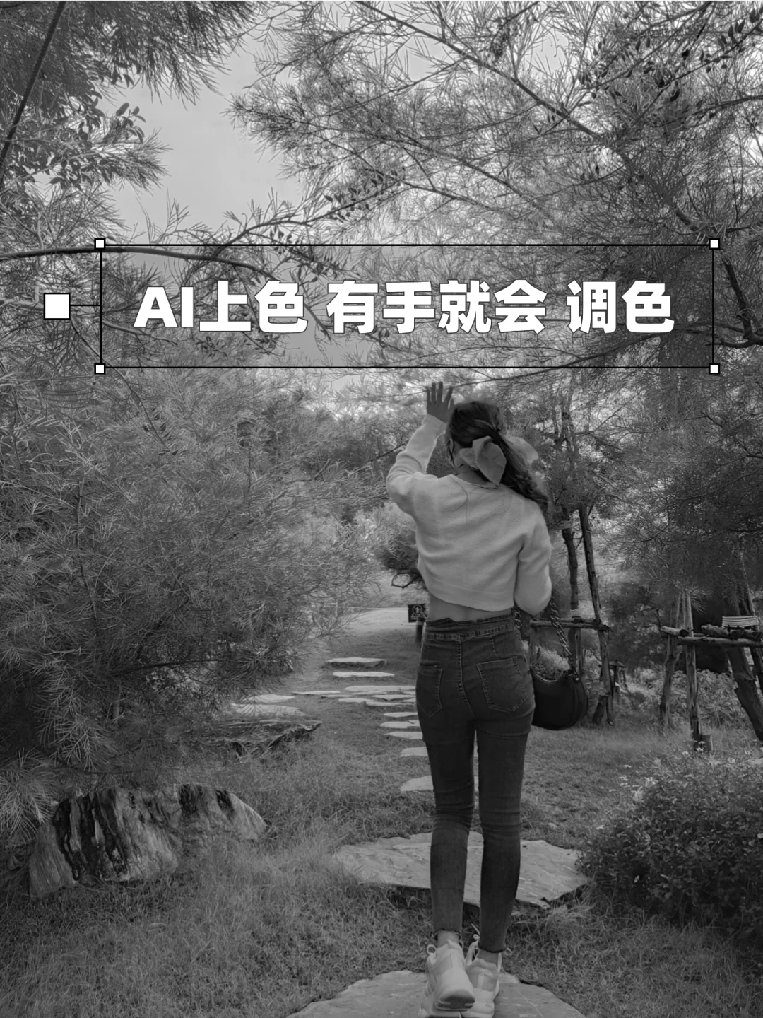 colorize安卓版colorx图片编辑助手-第1张图片-太平洋在线下载