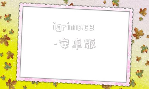 igrimace-安卓版iamageglass官网地址