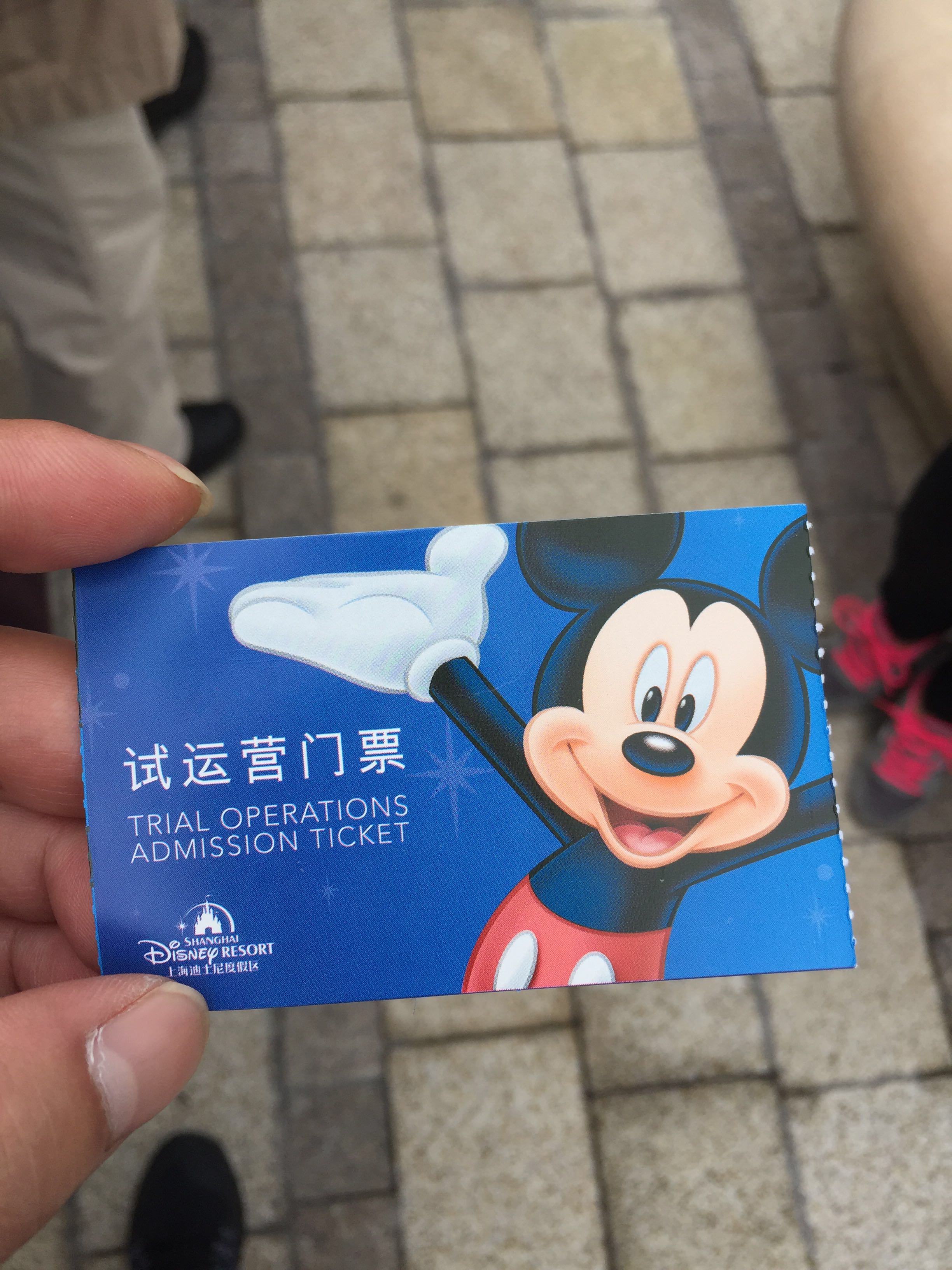 迪士尼客户端打不开迪士尼app无法登陆