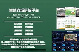 亦鸥托福苹果版lofter下载安装苹果-第2张图片-太平洋在线下载