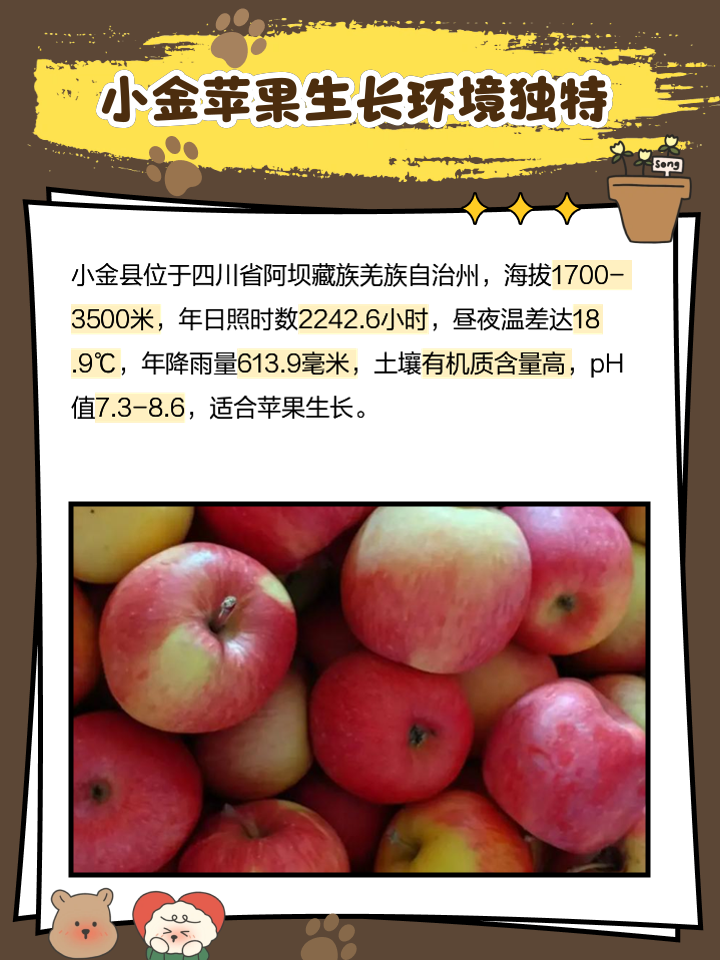 税务版小苹果陕西小苹果影视盒子201